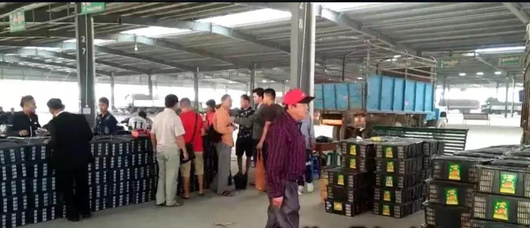 卖芒果利润，深度解析与经营策略