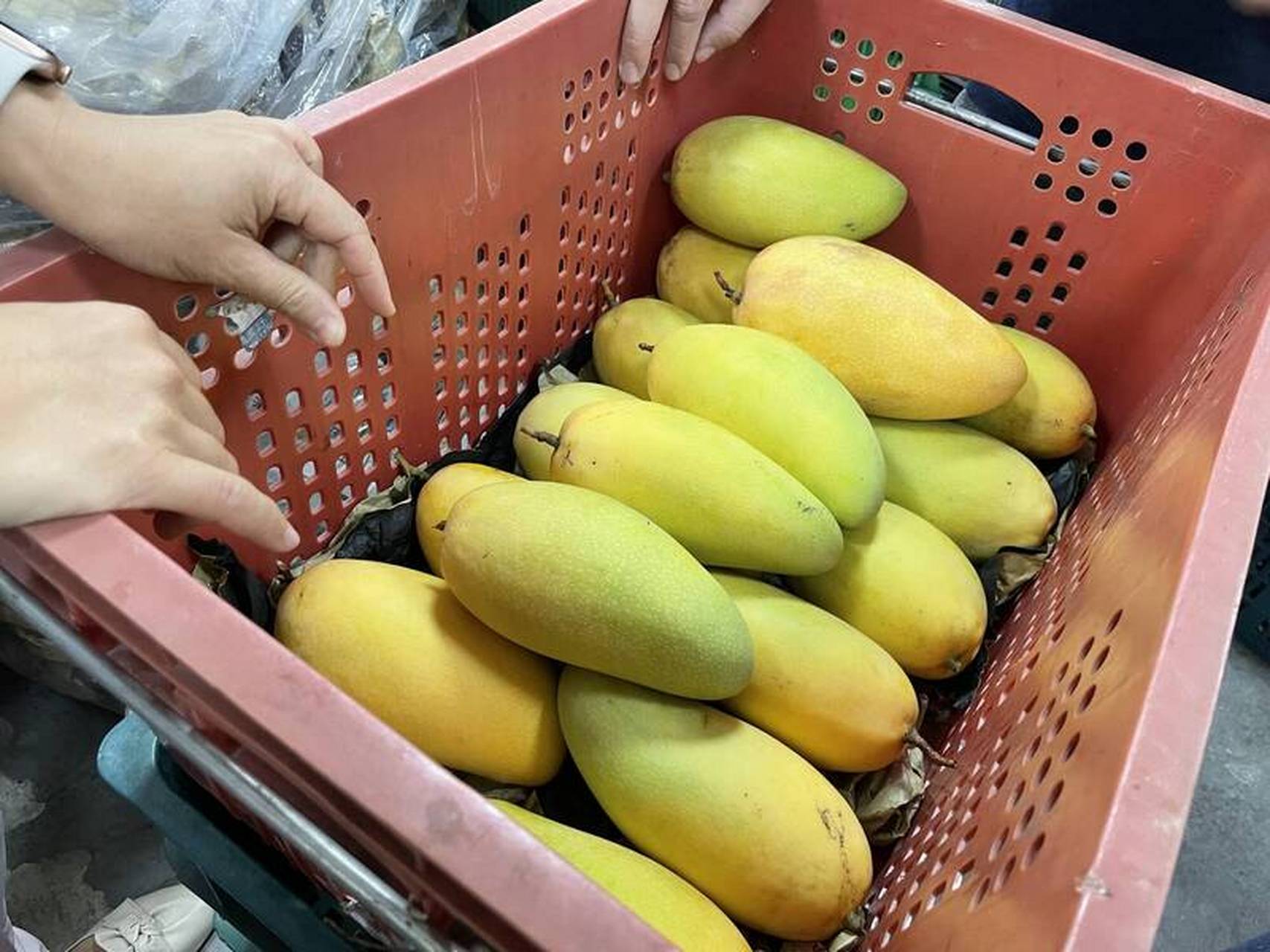 卖芒果获利25元却可能被罚5万元，电商小贩的困境与反思