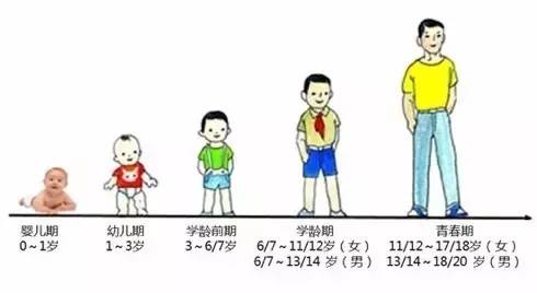 小孩子的臂展长度和身高之间的关系