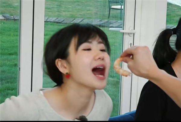 把虾是什么意思，深度解析与趣味解读