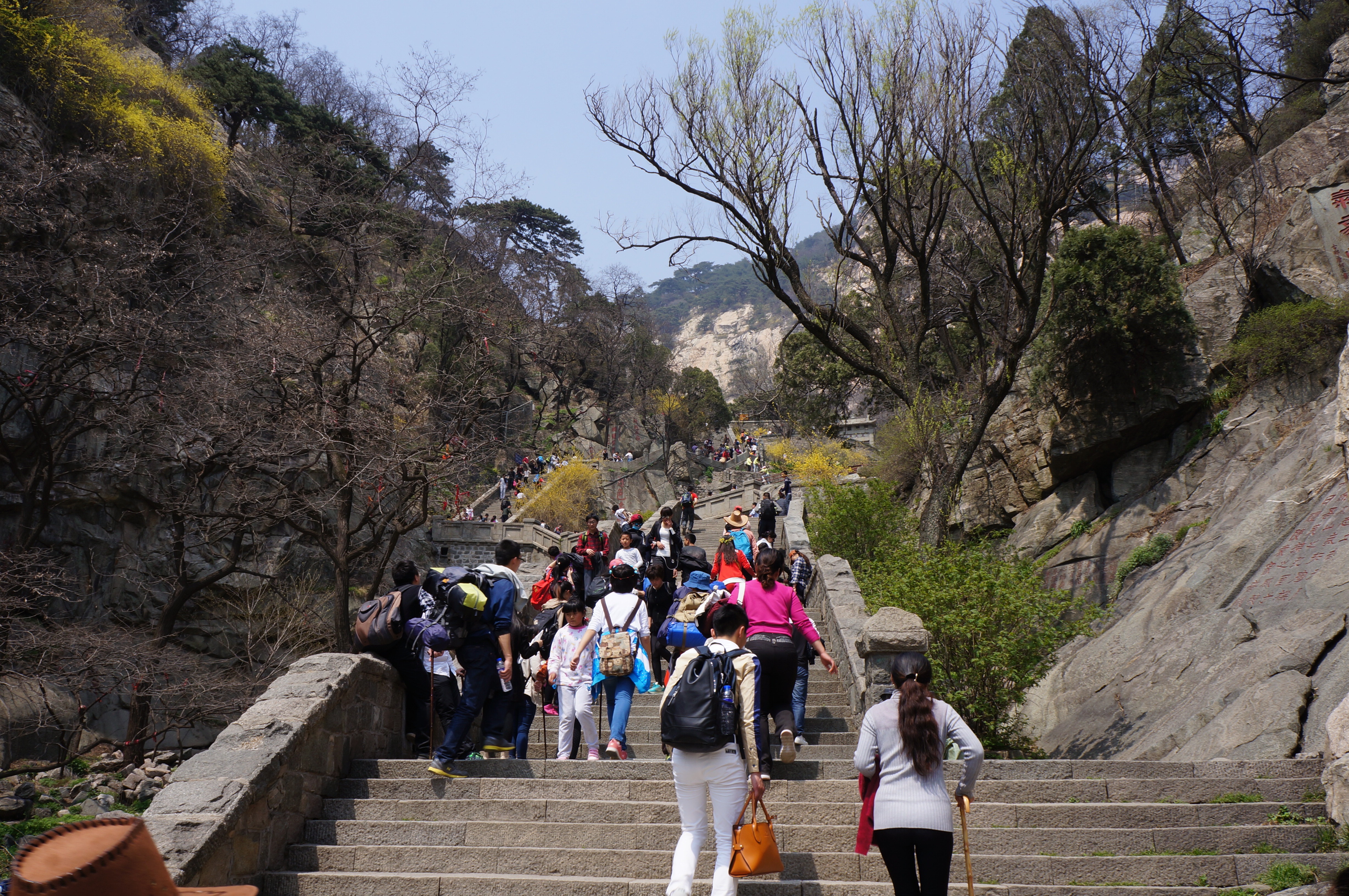 爬泰山的夫妻，共赴高峰的浪漫之旅