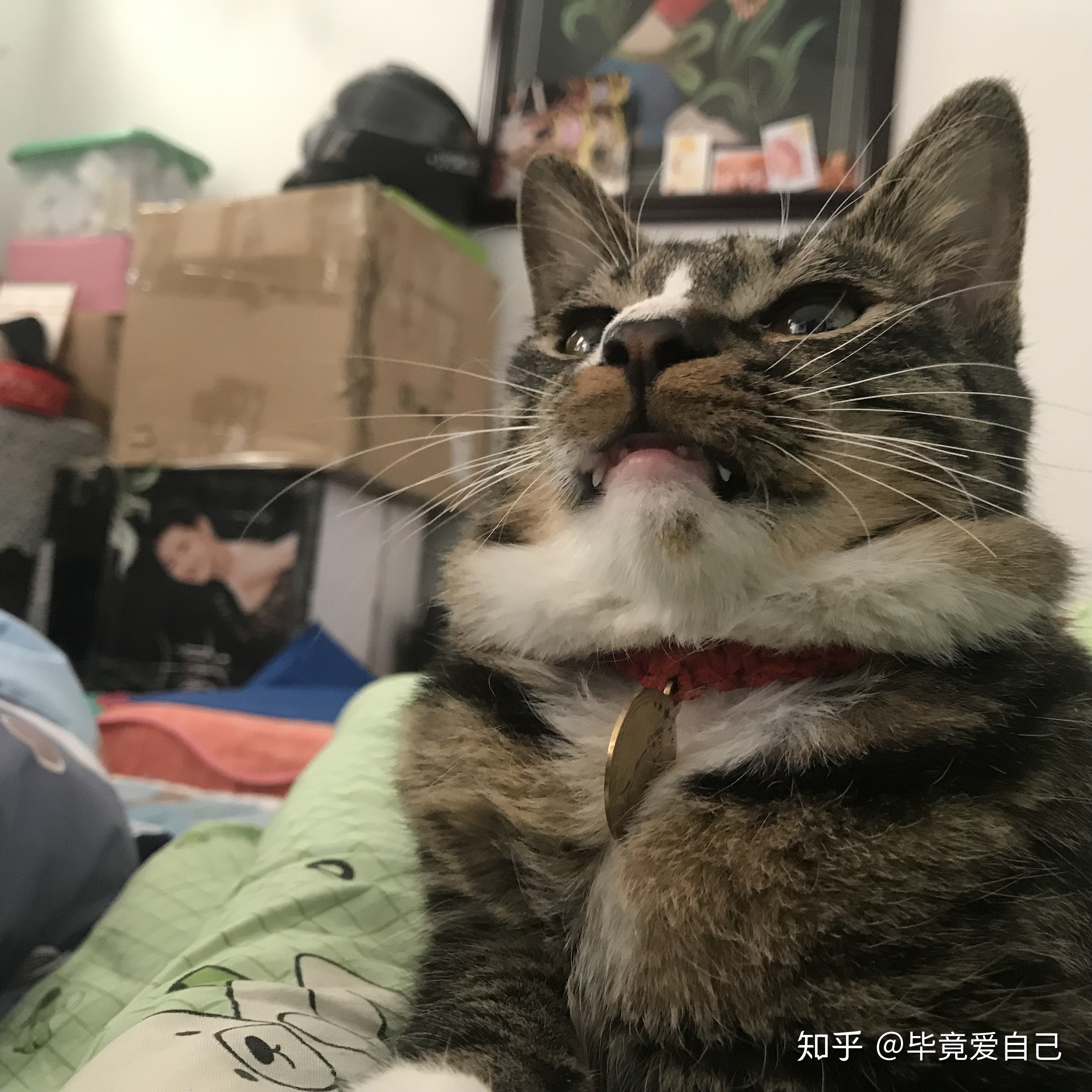 美的要死，探寻生活中无处不在的美