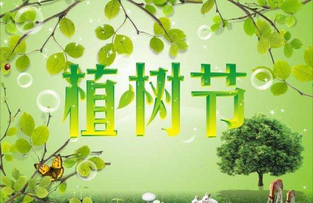 绿意盎然，共筑未来——纪念3月12日植树节