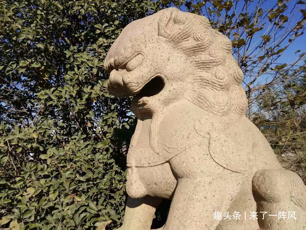 石狮子伤人事件，探究原因与应对之道
