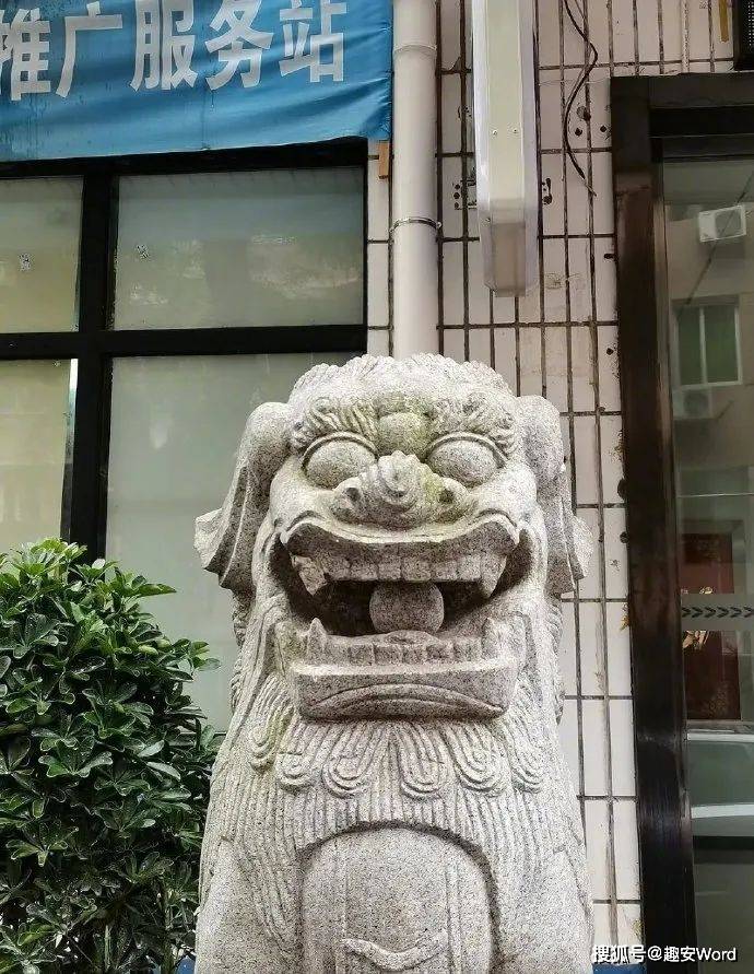 石狮子事件背后的霸道行为探究