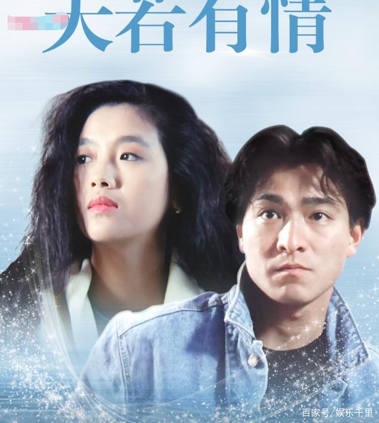 天若有情，情感的力量与网络的共鸣