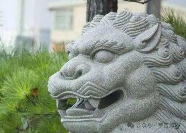 有个石狮子被专家坑了——一起探究背后的故事