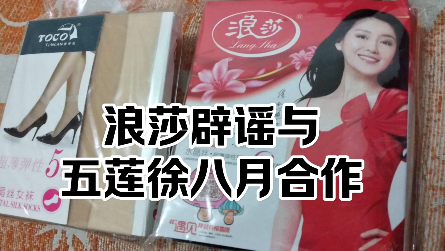 浪莎集团老板娘事件，深度解读与反思