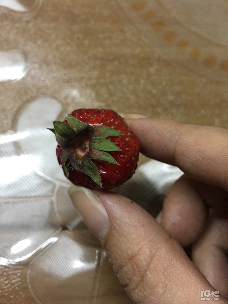 草莓不能吃是真的吗？揭秘草莓的真实面纱