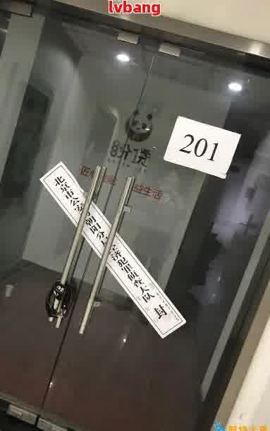 借贷宝总部大门被贴封条事件深度解析