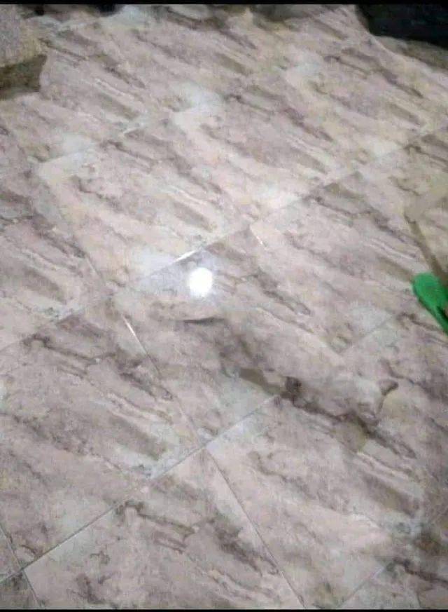 网友在阿勒泰拍到绝美钻石尘，闪耀的瞬间惊艳时光