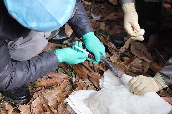 给病人抽血找不到血管怎么办？全面解析与应对策略