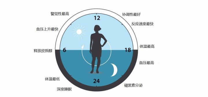 研究发现这个时间锻炼效果最好