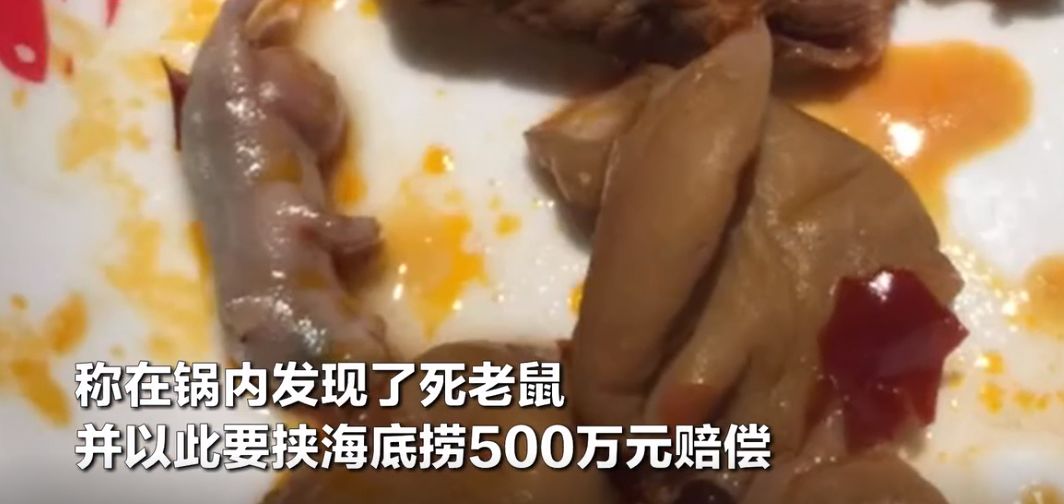 海底捞500万索赔案，深度解析事件背后的真相