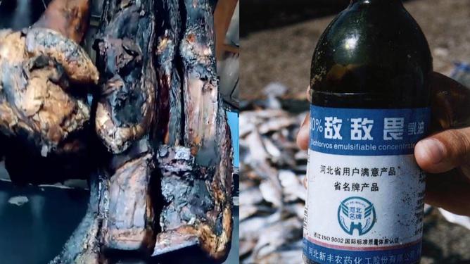 商贩用敌敌畏喷洒腊肉出售获刑，警示与反思