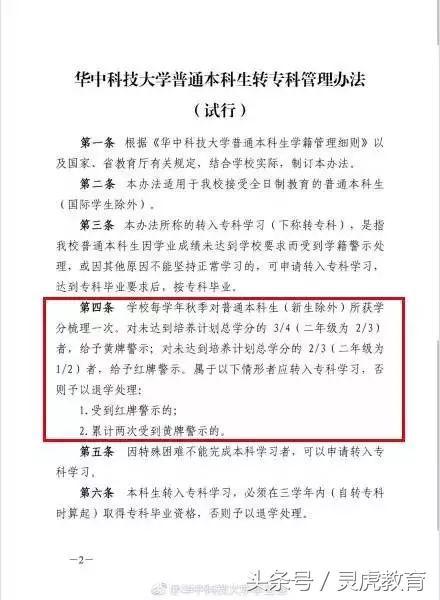 女孩留学一年后退学回国考专科，逆境中的选择与成长
