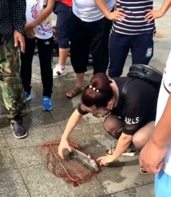 女子获赠十几斤重母鱼后暖心放生，传递爱与和谐的故事
