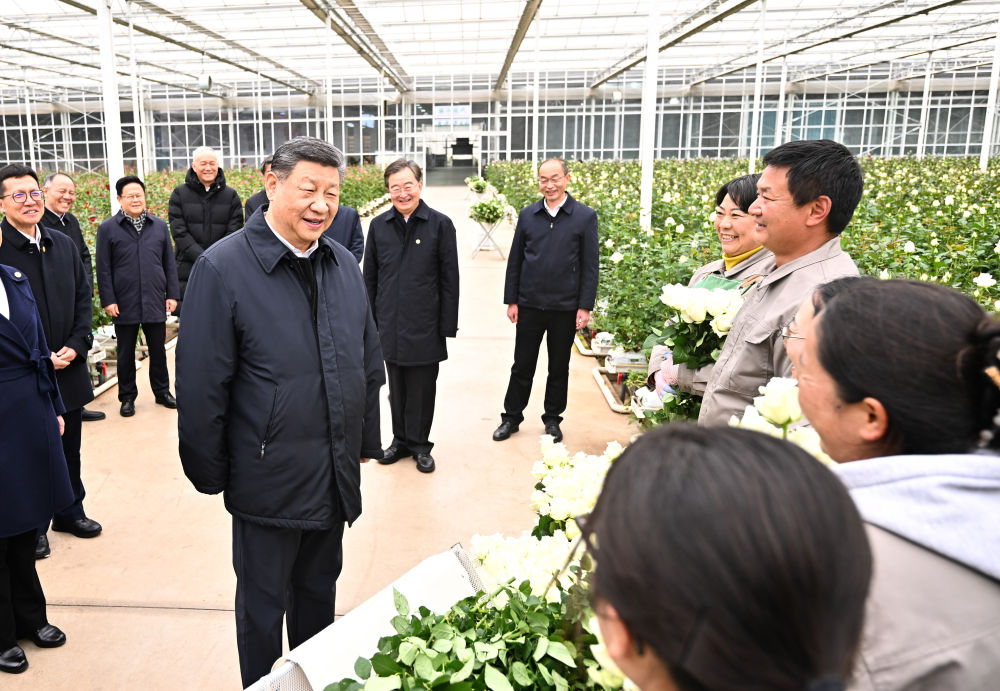 多彩大地风采无限