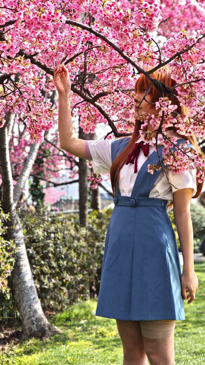樱花树下人比花瓣多