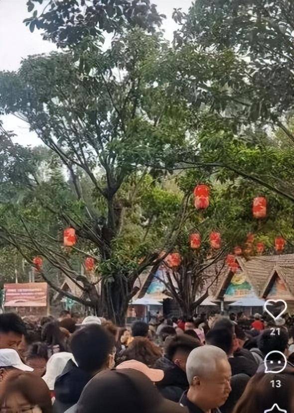 景区喇叭劝阻游客购买乌梅，警惕购物陷阱，明智出游