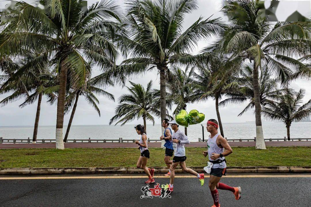 小白跑步入场小游戏，9天赚12万的奇迹之旅