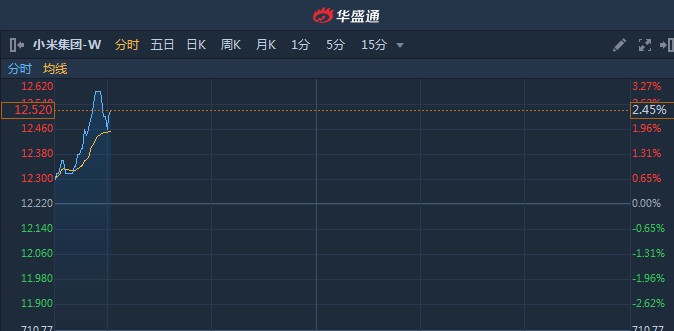 小米股票港股01810，投资热点与前景展望