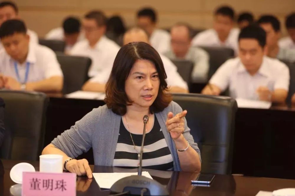 董明珠内部讲话，激情、创新与领导力