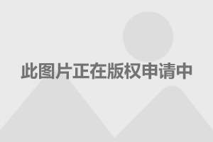 陶昕然现状，演员之路与人生风采