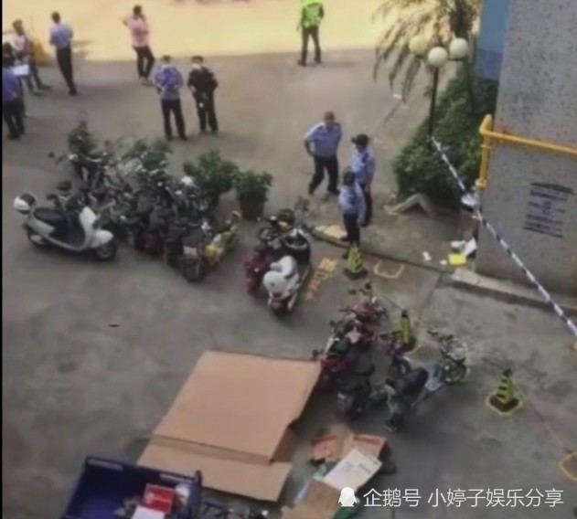 快递员被坠楼者砸死事件深度解析