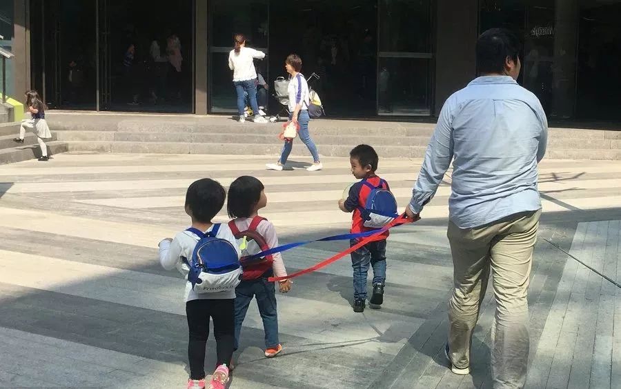 母子路边偶遇四只未牵绳大狗，冷静应对的智慧