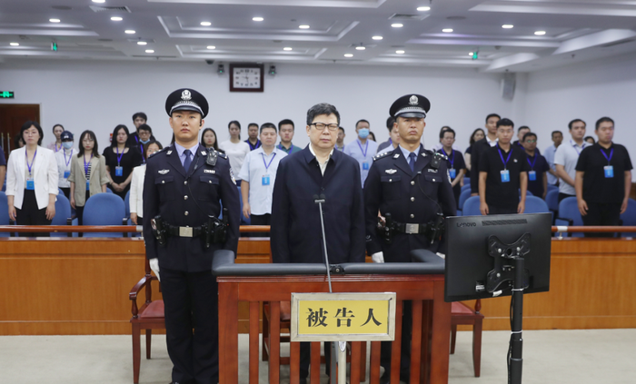 中国人寿原总裁被查，深度解读与反思
