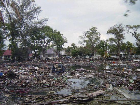 泰国地震海啸，灾难背后的故事