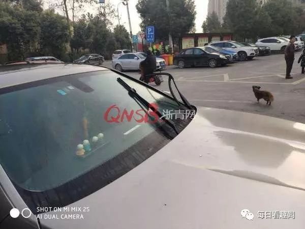 一井盖飞起砸穿车窗事件大揭秘