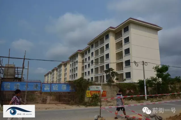 违建鱼塘政府可以强拆吗？解读相关法规与实际操作