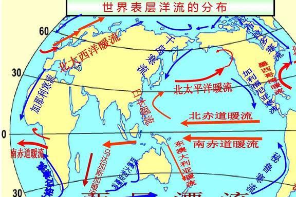 日本排放核污水带来的危害究竟有多大？