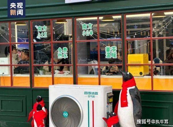 东北夫妻开店遭遇刁难停电，逆境中的坚持与呼声