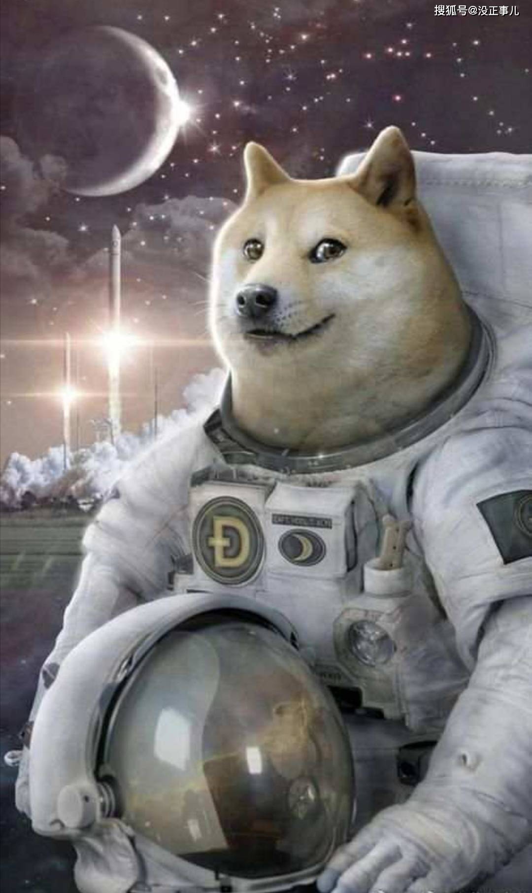 马斯克与Daddydoge，一场星辰大海的冒险之旅