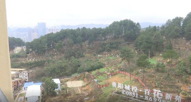 揭秘绿地洋房变坟景房，一场价值五百万的噩梦？