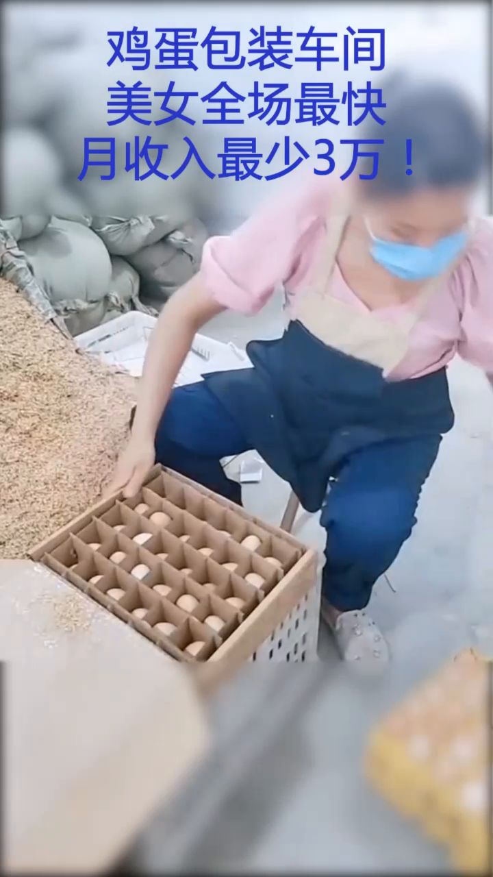 喜讯降临，三胎得女，赠予十万鸡蛋的喜悦之旅