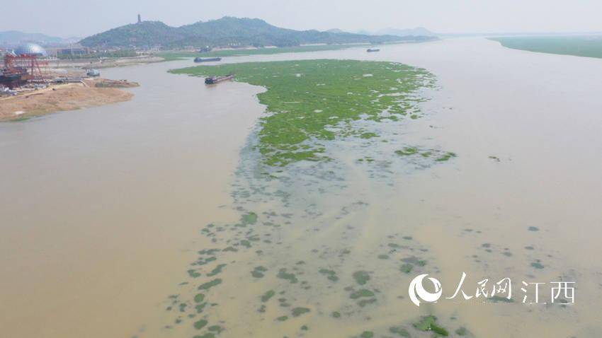 鄱阳湖一般几月退水