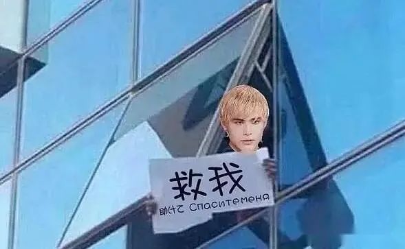 利路修是否退出，深度解读与多维度分析
