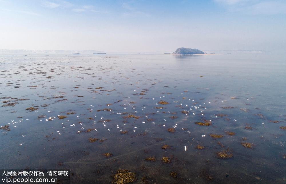 鄱阳湖水位下降了吗？探究背后的真相