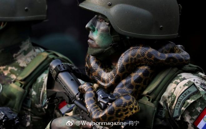 蟒蛇特种部队，神秘而强大的战斗力量