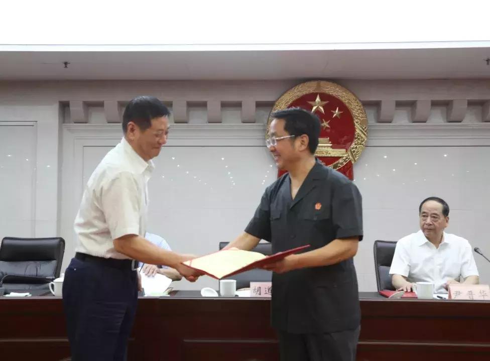 河南女法官被杀案，深度解析与反思
