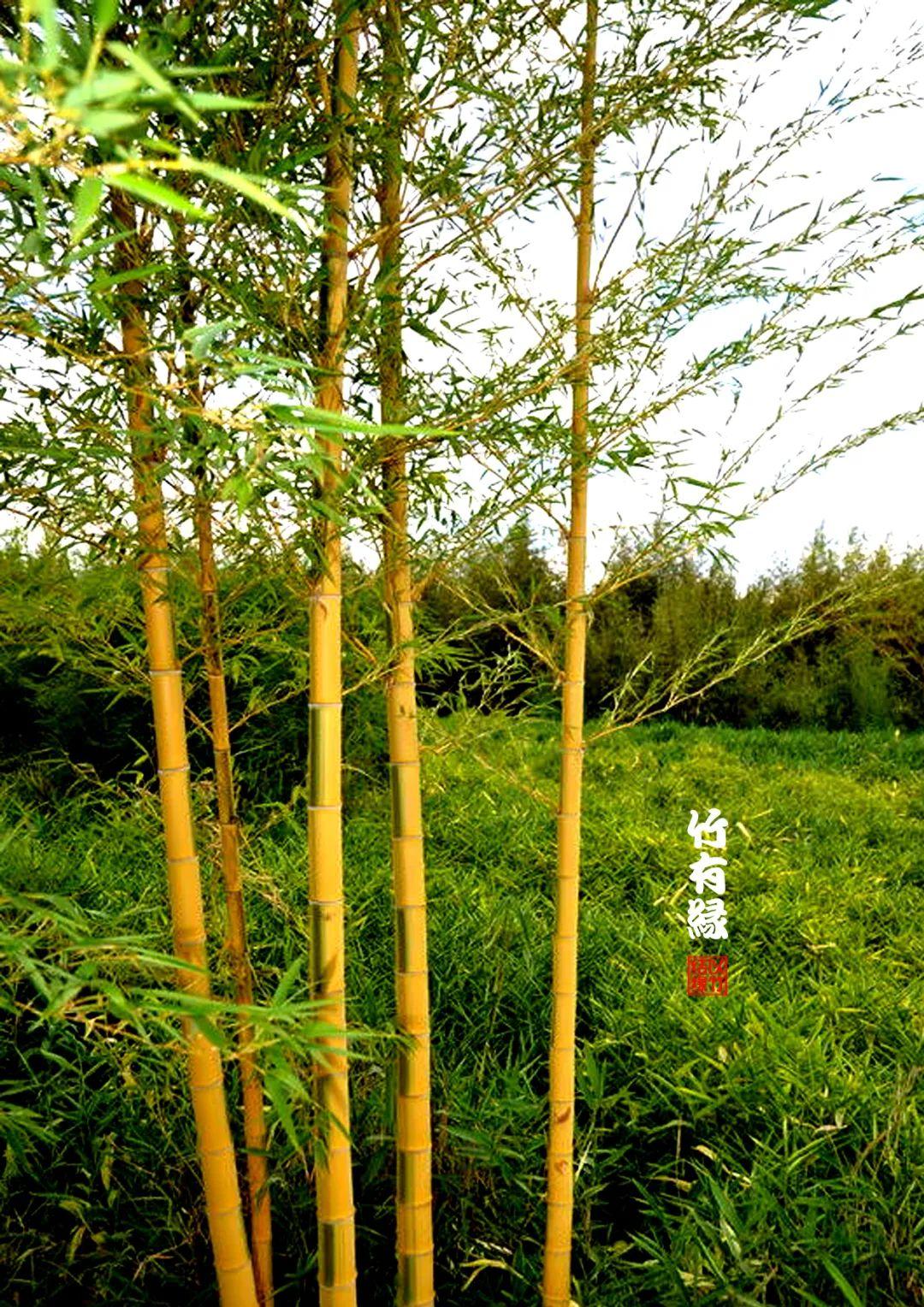 东部战区发布超燃视频降妖除魔，热血展现强军力量