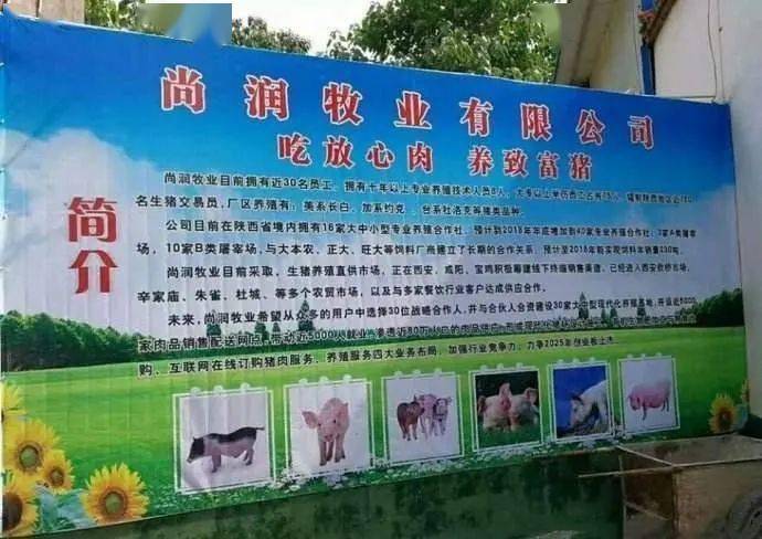 揭秘租牛养殖骗局，警惕虚假投资陷阱