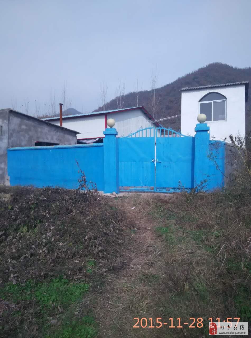 出租养牛场，开启你的牧场事业新篇章