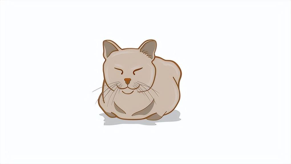 猫咪路边做仰卧起坐，萌态可掬！