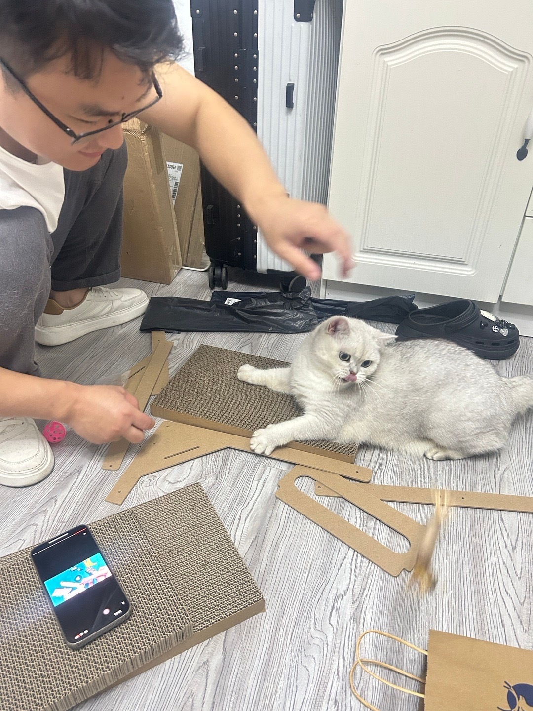 用塑料板打造遛猫神器，轻松解决猫咪日常活动需求
