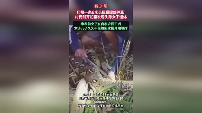 印尼村民剖开巨蟒发现失踪女子，神秘事件揭秘